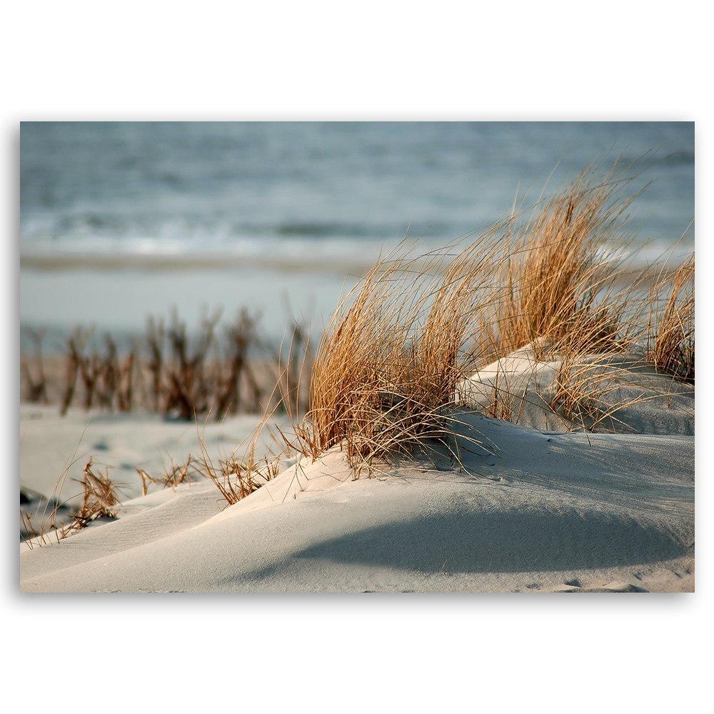 Emaga Obraz na płótnie, Wydmy nad morzem - 100x70